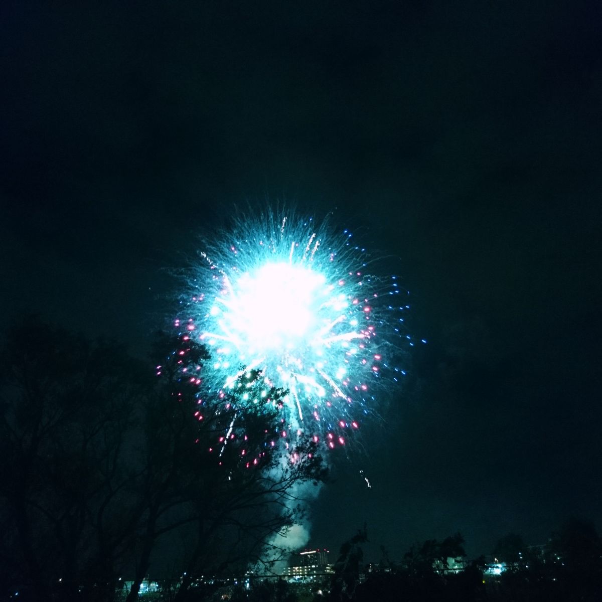 Views from Futako-Tamagawa&nbsp;hanabi