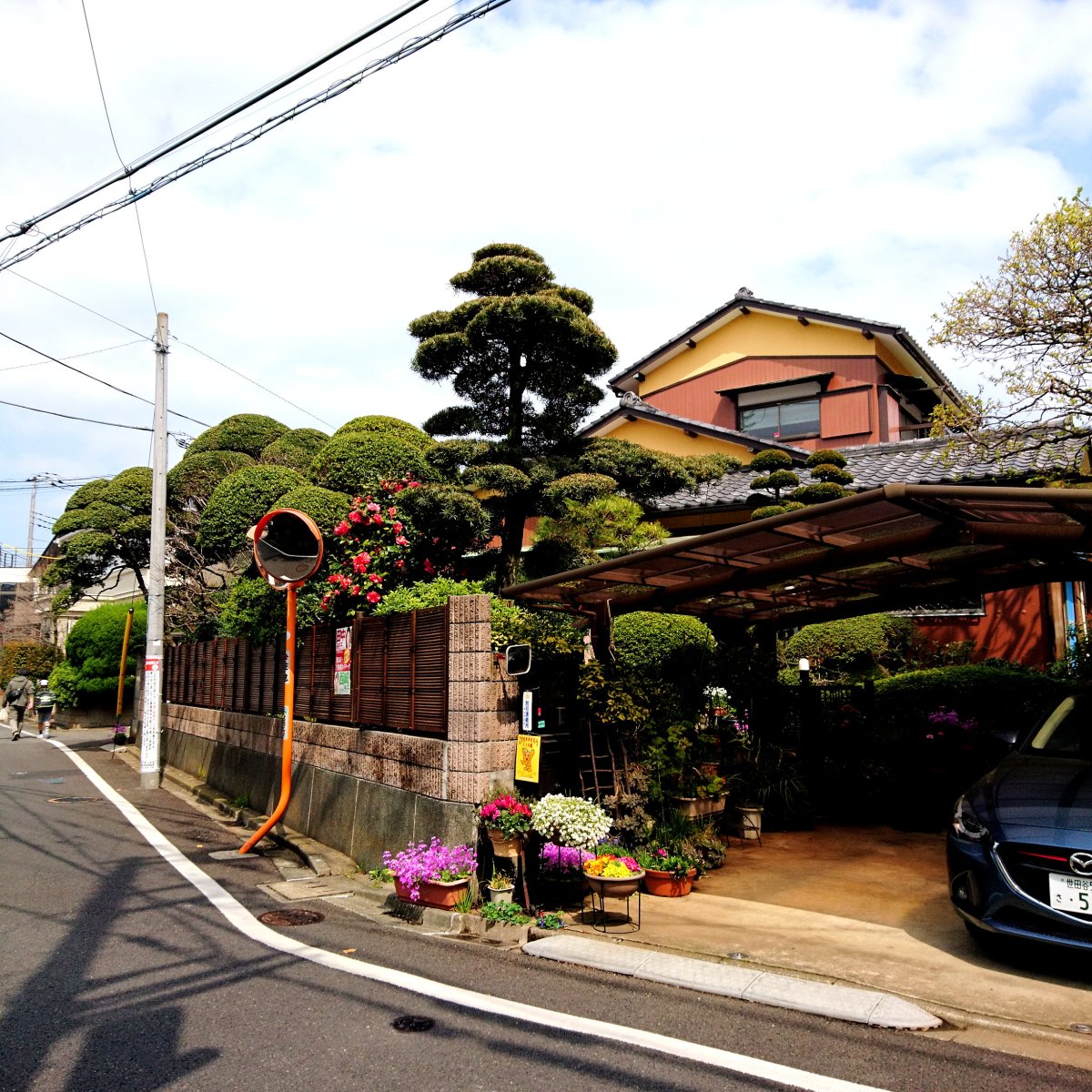 Walking Around my Neighborhood (Seta,&nbsp;Tokyo)