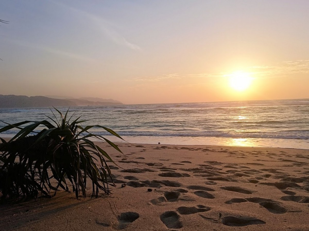 Imo-re to the Amamis: A turbulent stay in&nbsp;Amami-Oshima