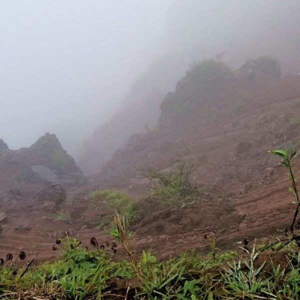 Day Hike from Tokyo: Exploring Myojingatake and the Outer Caldera of&nbsp;Hakone