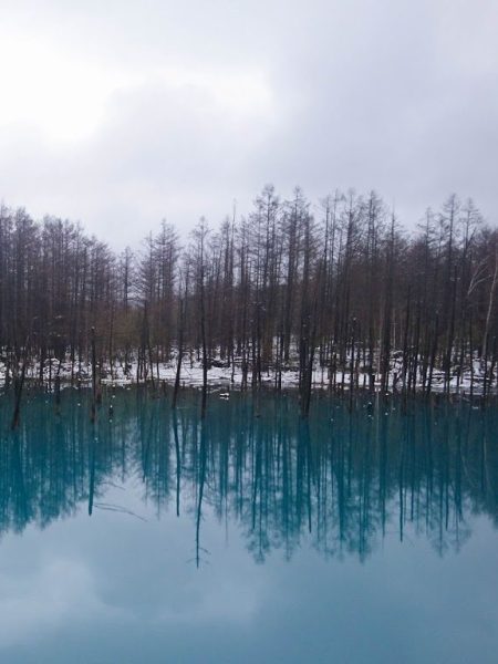 Roadtrip to Hokkaido: All is white (Pt.&nbsp;2)