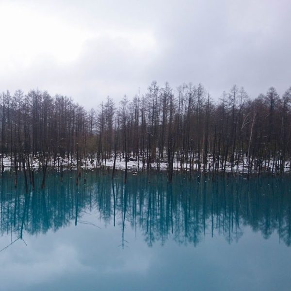 Roadtrip to Hokkaido: All is white (Pt.&nbsp;2)