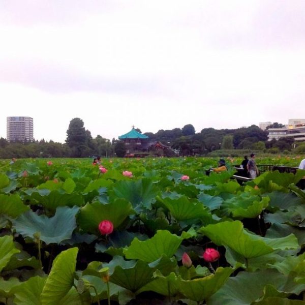 Παρανοήσεις