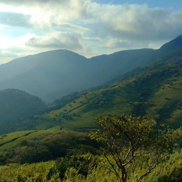 Day Hike from Tokyo: Exploring Myojingatake BUT on a sunny&nbsp;day