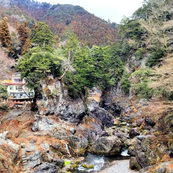 Day hike from Tokyo: Sidelining&nbsp;Okutama