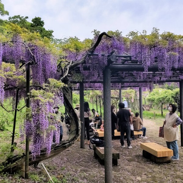 Η εποχή της&nbsp;γλυσίνας