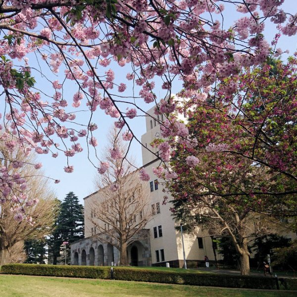 Τα πανεπιστήμια του&nbsp;Τόκιο
