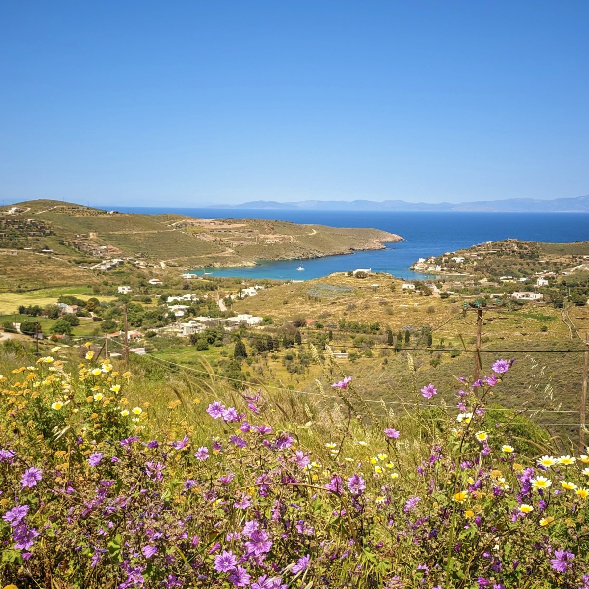 One day in&nbsp;Kea